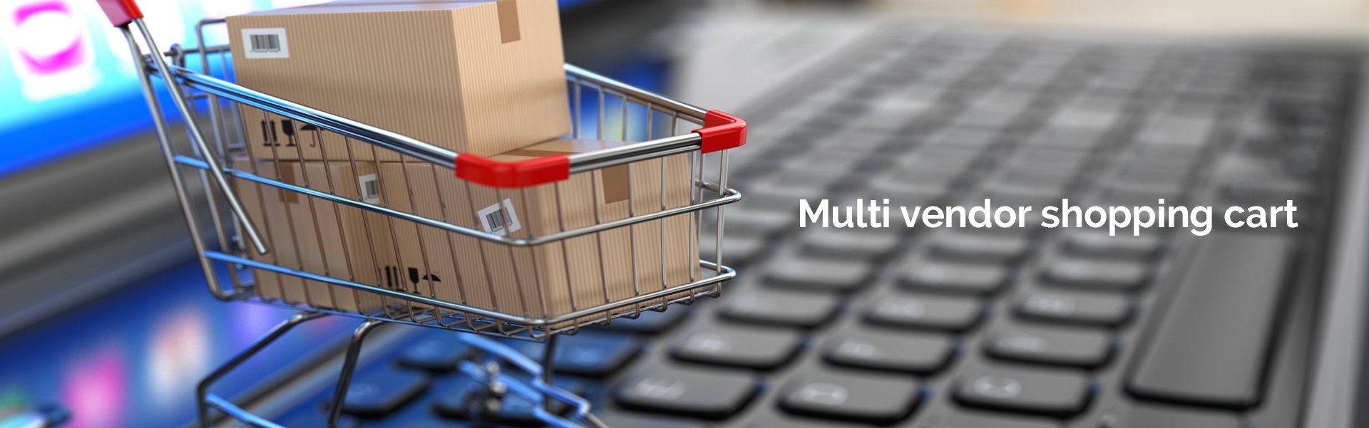 multi-vendor-ecommerce-platform